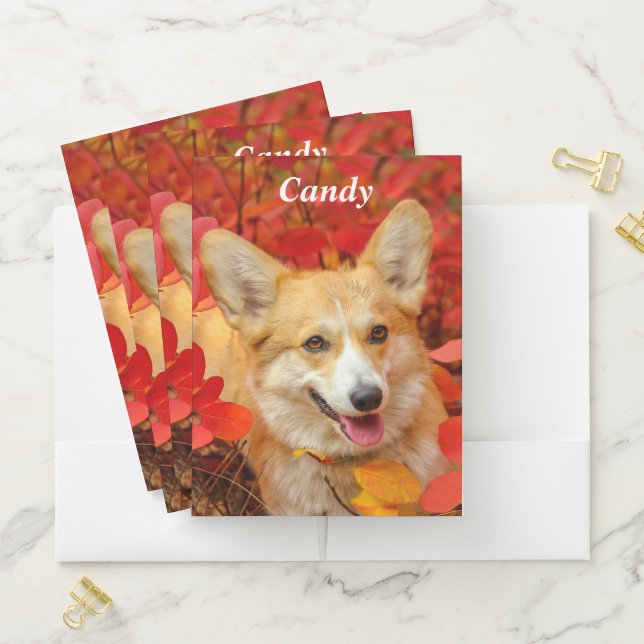 Pembroke Welsh Corgi Puppy Dog in Red Leaves Pocket Folder (In Situ)