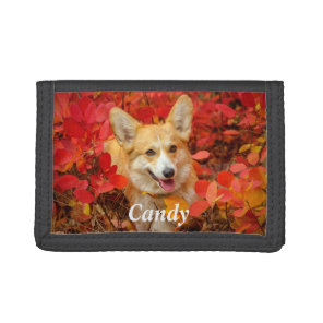Pembroke Welsh Corgi Puppy Dog in Red Leaves Tri-fold Wallet