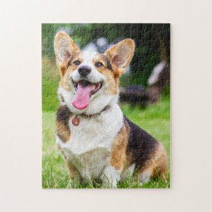 Pembroke Welsh Corgi dog Jigsaw Puzzle for Sale by savousepate