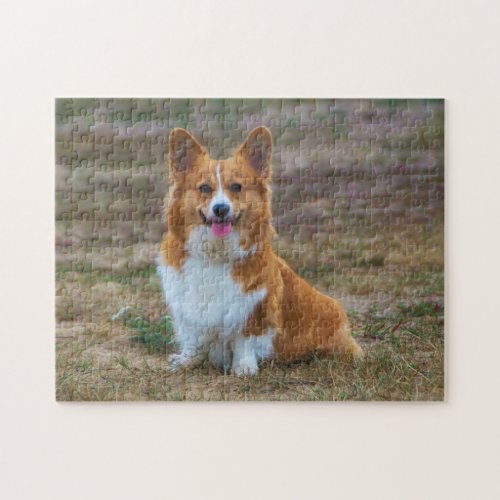 Pembroke Welsh Corgi Puppy Dog jigsaw puzzle