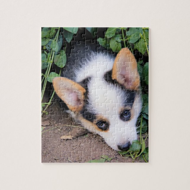 Pembroke Welsh Corgi Puppy Jigsaw Puzzle (Vertical)