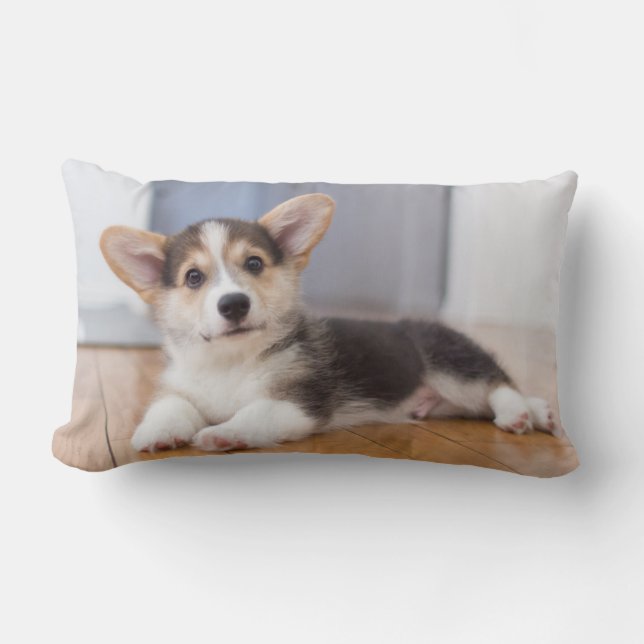 Pembroke Welsh Corgi Puppy Lumbar Pillow (Front)