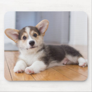 Pembroke Welsh Corgi Puppy Mouse Pad