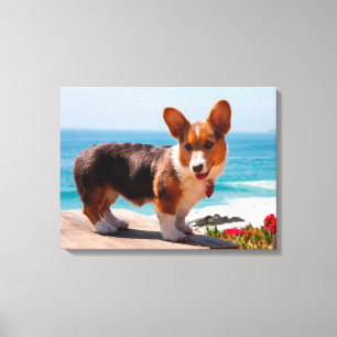 Pembroke Welsh Corgi puppy standing on table Canvas Print