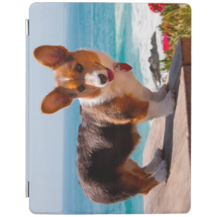 Dog iPad Pro 11 Cute Corgi Dog iPad case Cute Kids Kawaii Corgi iPad Case Little Corgi iPad Case 2020 6th Gen 2018 Puppy iPad Case