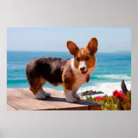 Pembroke Welsh Corgi (standing) - Cool Dog Trays