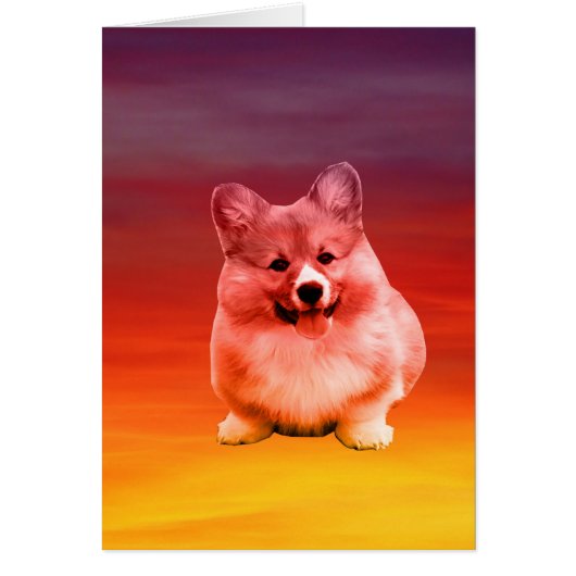 Pembroke Welsh Corgi Sitting On Beach (Front)