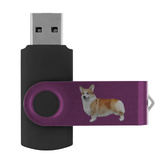 Pembroke Welsh Corgi USB Stick. Flash Drive