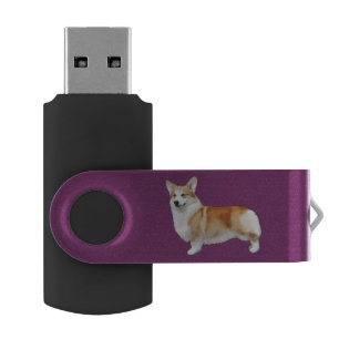 Pembroke Welsh Corgi USB Stick. USB Flash Drive
