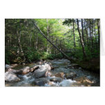 Pemigewasset River Bridge in New Hampshire