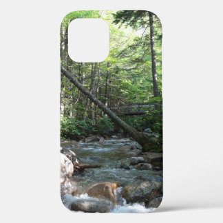 Pemigewasset River Bridge in New Hampshire iPhone 12 Case