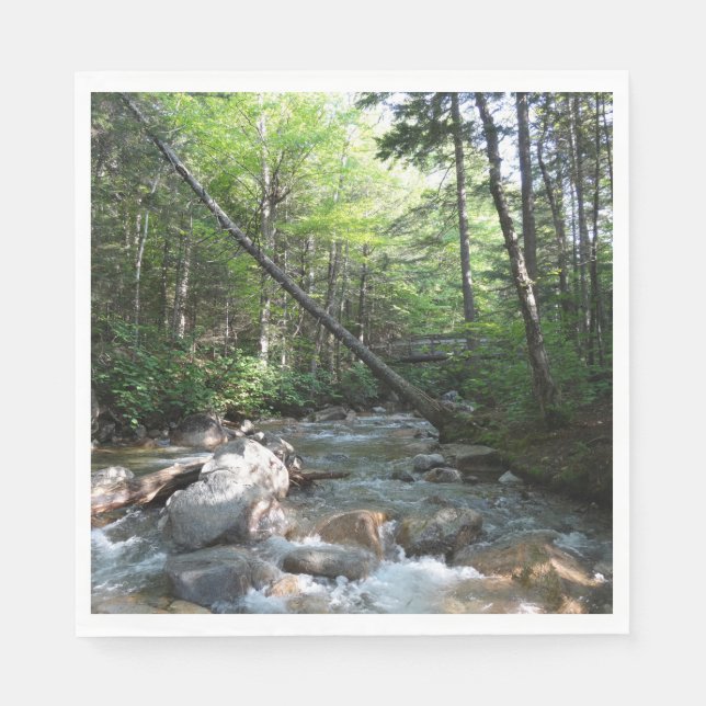 Pemigewasset River Bridge in New Hampshire Napkins (Front)