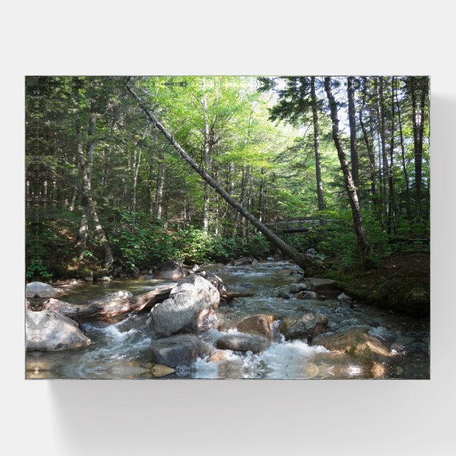 Pemigewasset River Bridge in New Hampshire Paperweight (Front)