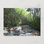 Pemigewasset River Bridge in New Hampshire Postcard