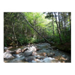 Pemigewasset River Bridge in New Hampshire Poster