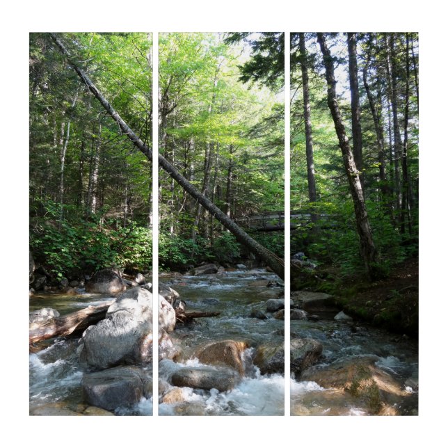 Pemigewasset River Bridge in New Hampshire Triptych (Front)