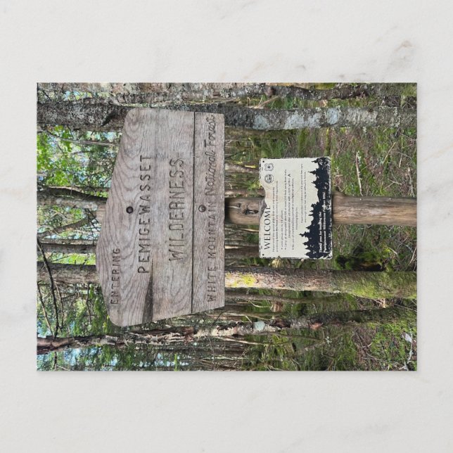 Pemigewasset Wilderness Postcard (Front)