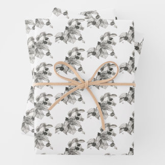 Pen and Ink Blackberries Wrapping Paper Sheets