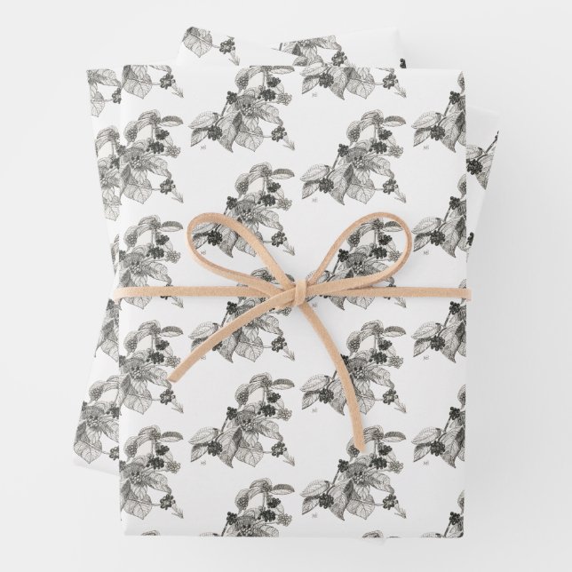 Pen and Ink Blackberries Wrapping Paper Sheets (In situ)