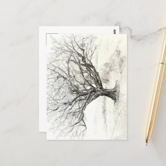 Pen and Ink Tree drawing Postcard