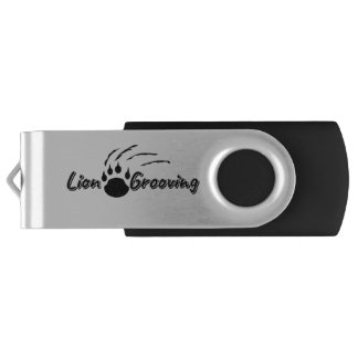 Pen Drive Spinning Lion Grooving