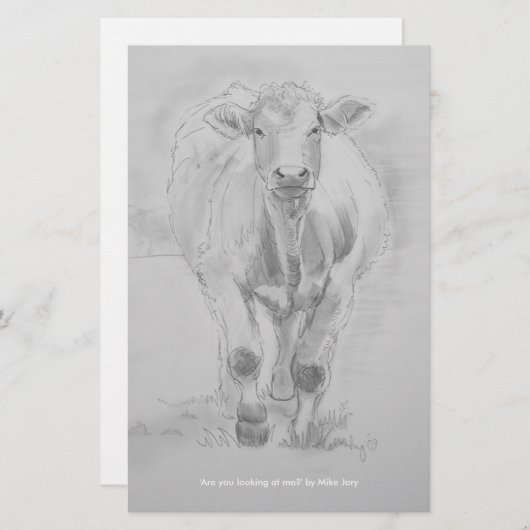 Pencil Drawing of a Cow walking towards you (Front/Back)