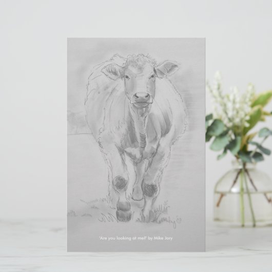 Pencil Drawing of a Cow walking towards you (Standing Front)