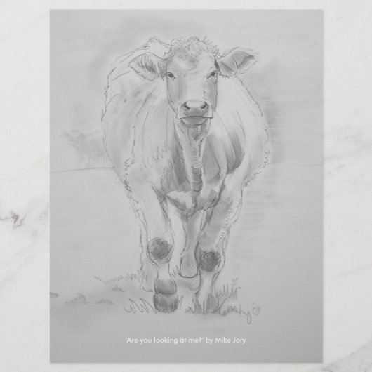 Pencil Drawing of a Cow walking towards you (Front)