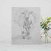 Pencil Drawing of a Cow walking towards you (Standing Front)