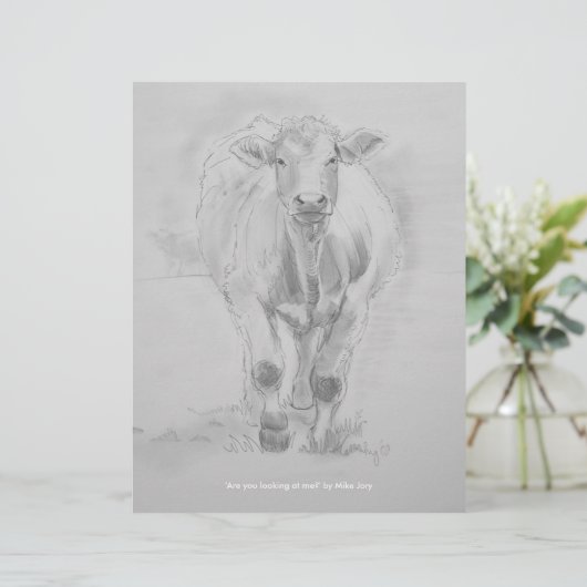 Pencil Drawing of a Cow walking towards you (Standing Front)