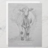 Pencil Drawing of a Cow walking towards you (Front/Back)
