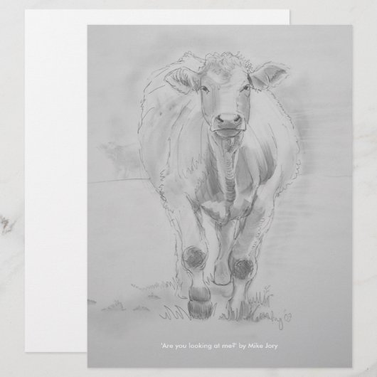 Pencil Drawing of a Cow walking towards you (Front/Back)