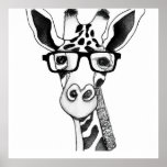 Pencil Drawing of a Giraffe wearing Glasses poster<br><div class="desc">Black and white pencil drawing of a giraffe wearing black glasses.</div>
