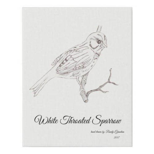 Pencil Drawing of White Throated Sparrow Faux Canvas Print