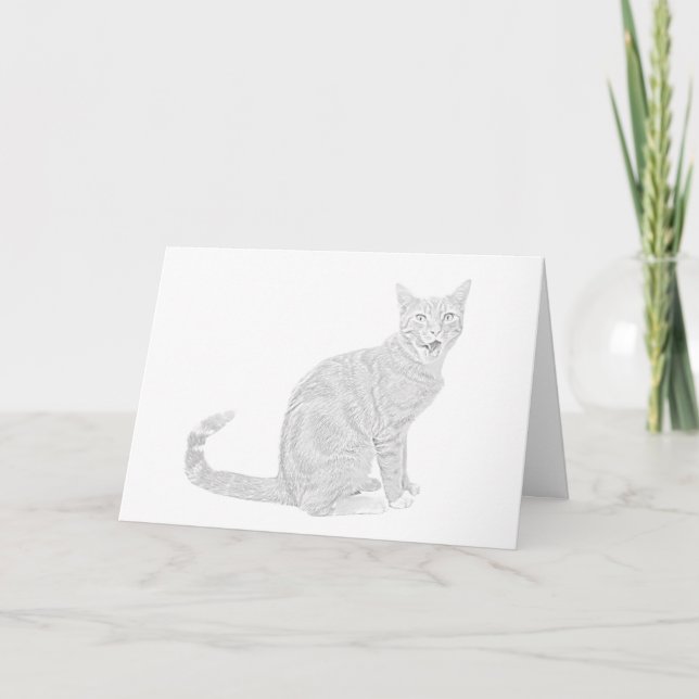 Pencil Drawing Tabby Cat Greeting Card (Front)