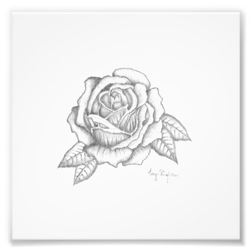 Pencil Rose Print _ Satin Finish Paper