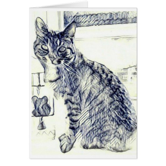 Pencil sketch of a cat on a blank card (Front)