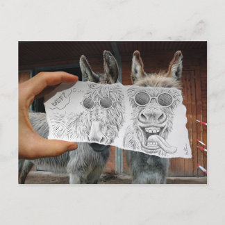 Pencil Vs Camera - Crazy Donkeys Postcard
