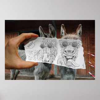 Pencil Vs Camera - Crazy Donkeys Poster
