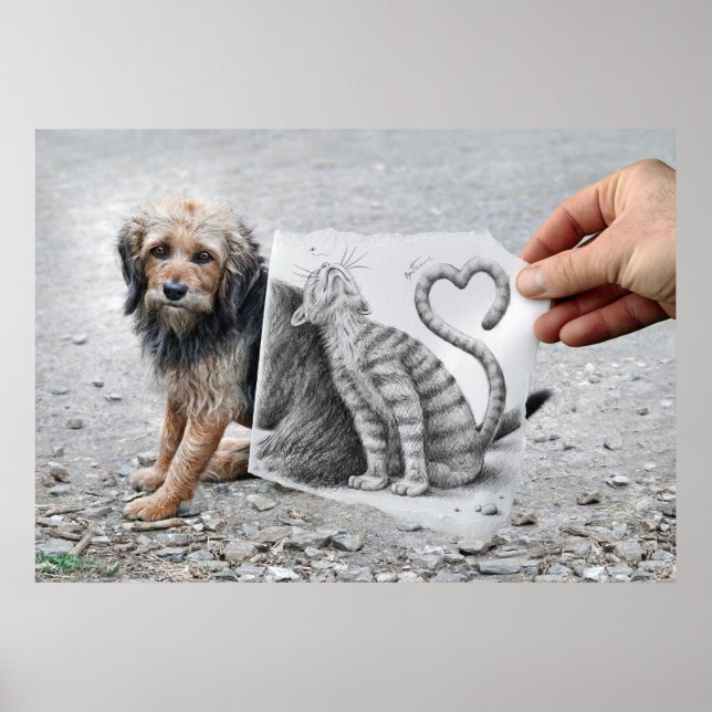 Pencil Vs Camera - Dog and Cat Poster (Front)