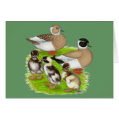 Penciled Call Duck Family (Front Horizontal)