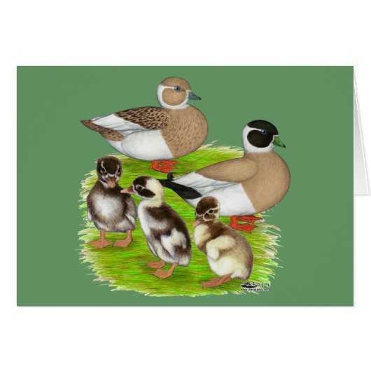 Penciled Call Duck Family (Front Horizontal)