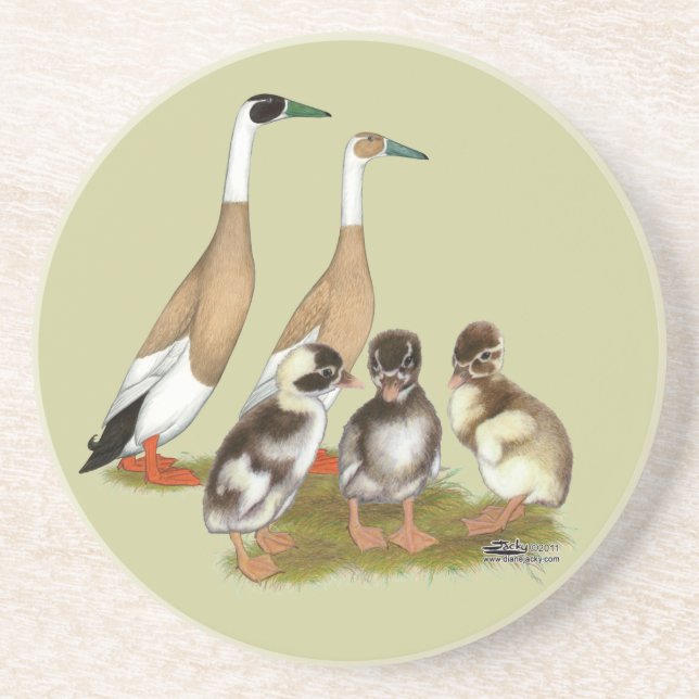 Penciled Runner Duck Family Sandstone Coaster (Front)