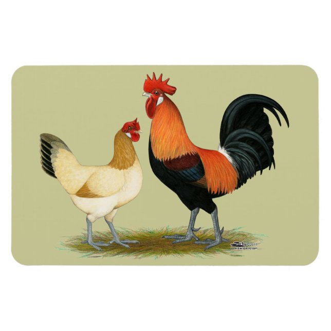 Penedesenca Chickens Magnet (Horizontal)