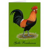 Penedesenca Rooster (Front)