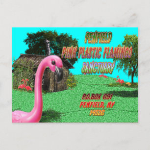 penfield pink plastic flamingo sanctuary postcard
