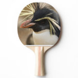 penguin-86.jpg ping pong paddle