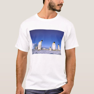 Penguin Antarctica, Antarctic Peninsula T-Shirt