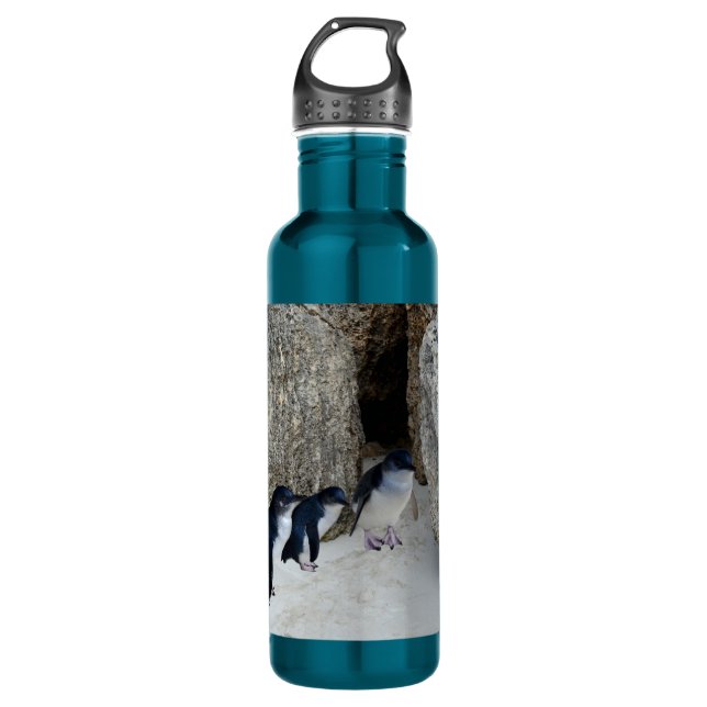 Penguin Beach House,   Stainless Steel Water Bottle (Front)