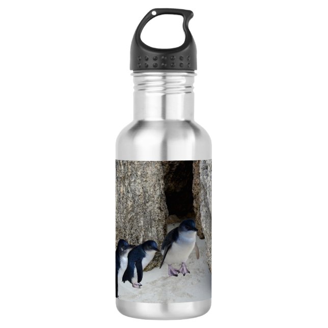 Penguin Beach House,   Stainless Steel Water Bottle (Front)
